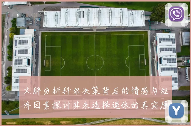 文胖分析科尔决策背后的情感与经济因素探讨其未选择退休的真实原因