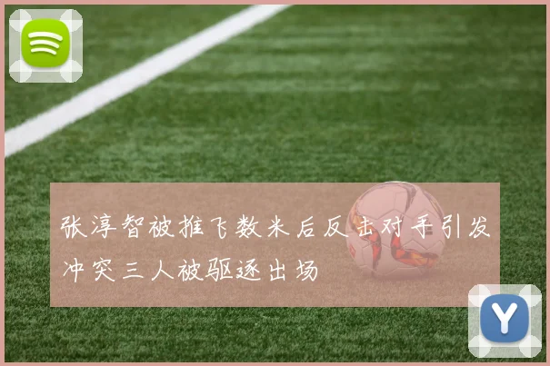 张淳智被推飞数米后反击对手引发冲突三人被驱逐出场